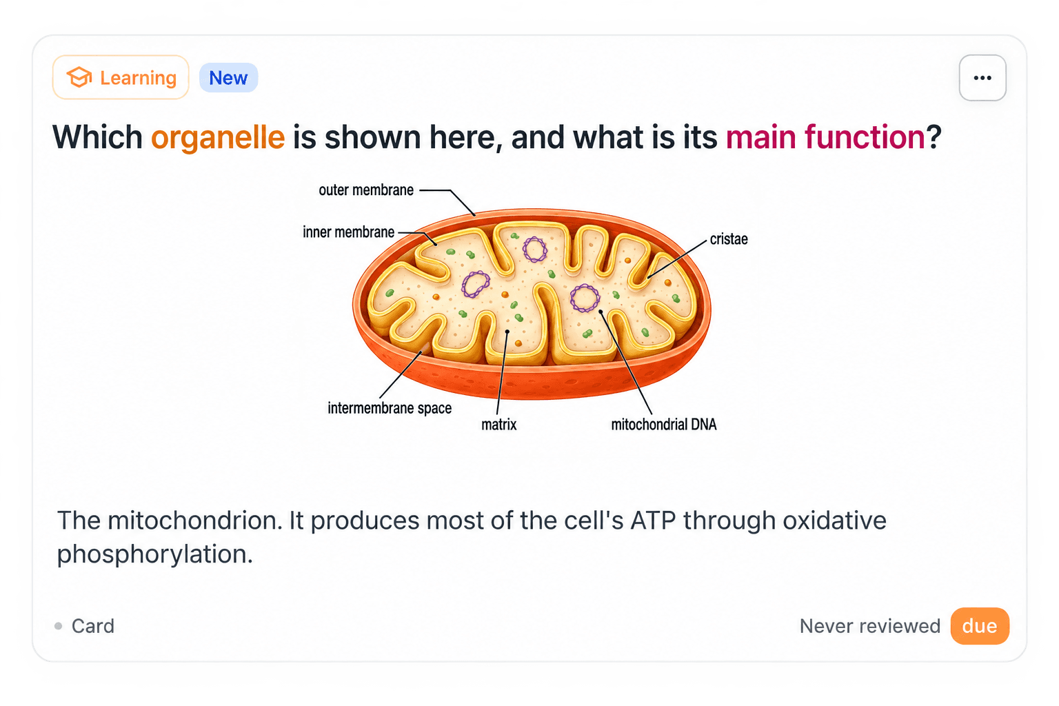 A Quantilo card with a labeled diagram embedded in it